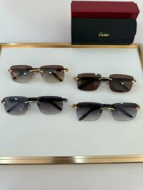 Picture of Cartier Sunglasses _SKUfw55488164fw